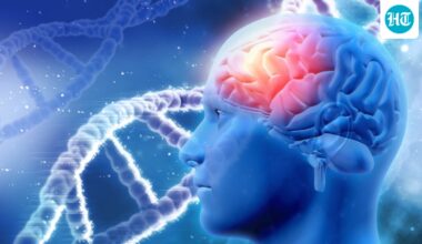Think 8 hours of sleep is enough? Neurologist busts brain health myths on sleep, stress, alcohol and more