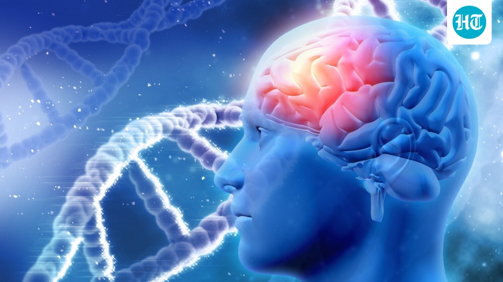 Think 8 hours of sleep is enough? Neurologist busts brain health myths on sleep, stress, alcohol and more