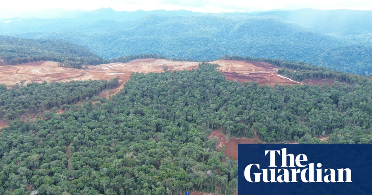 Revealed: VW, Ford and Tesla batteries linked to destructive deforestation of indigenous lands | Mining