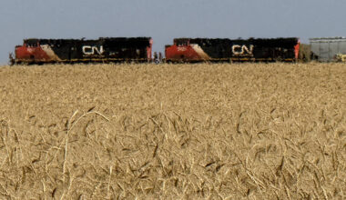 Grain monitor skeptical sector able to meet Carney's trade targets