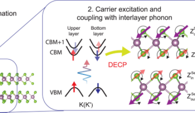 Linearly polarized light-induced magnetism in bilayer MoSe₂