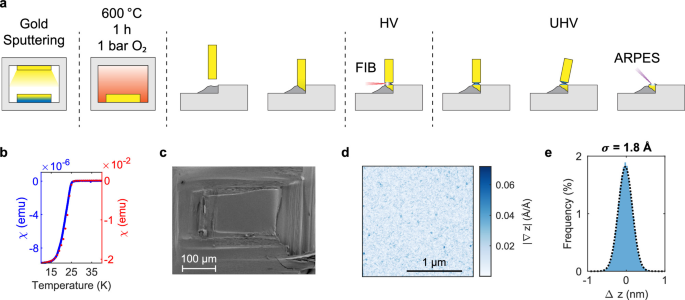 Fig. 2: Sample preparation.