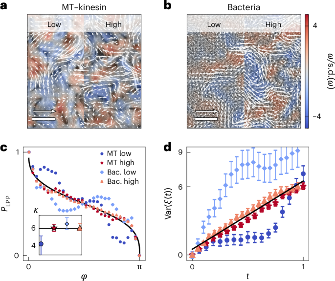 Fully developed active turbulence defined through a non-equilibrium phase transition
