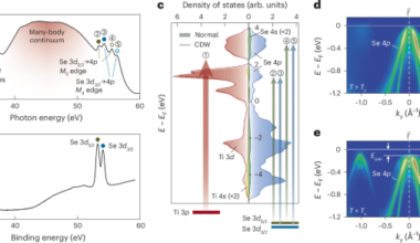Short-range excitonic correlations and enhanced excitonic susceptibility in 1T-TiSe2