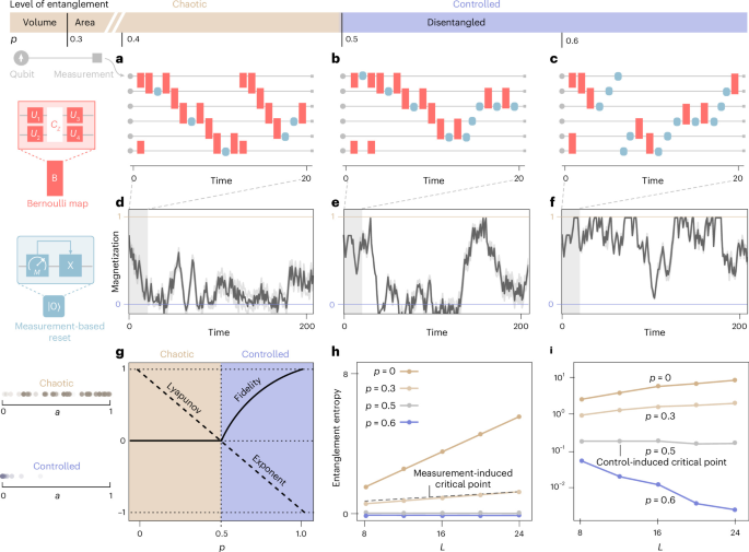 Order from chaos with adaptive circuits on quantum hardware