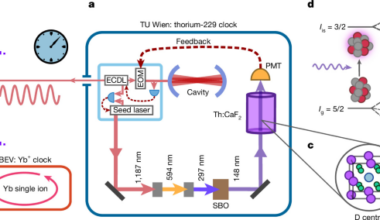A thorium-229 optical nuclear clock with feedback loop