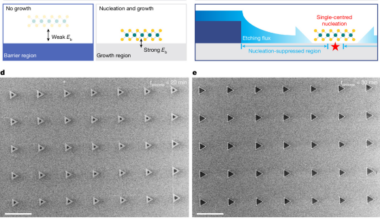 Spatially deterministic nucleation of 2D semiconductors by etching flux