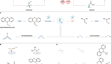 Carbene transfer from thianthrenium ylides for cyclopropanation