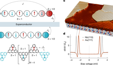 Parity-dependent coupling of molecular spin chains to a superconductor