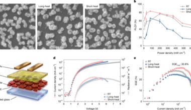 Hidden reaction pathways inform additive engineering for perovskite LEDs