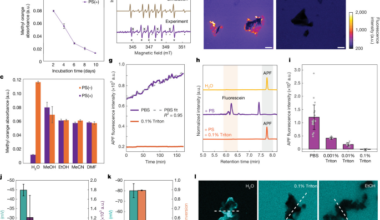 Intrinsic physicochemical activity at microplastic–water interfaces