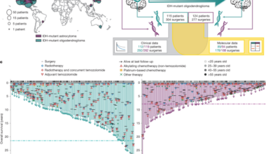 Divergent genomic evolution in astrocytomas and oligodendrogliomas