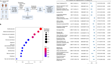 Artificial intelligence-enabled clinical phenotyping of human brown fat