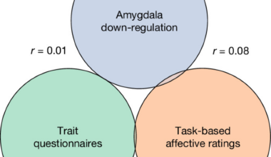 Emotion regulation capacity lacks a shared neural signature