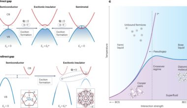 Excitonic order in quantum materials