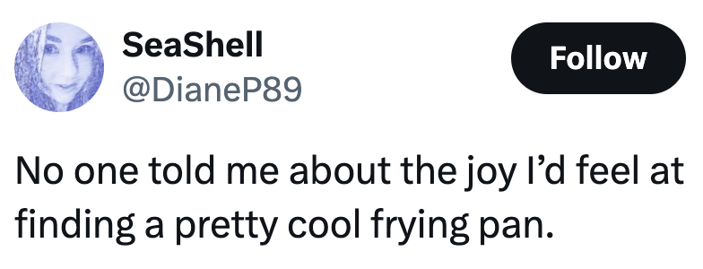 Tweet by SeaShell: "No one told me about the joy I’d feel at finding a pretty cool frying pan."