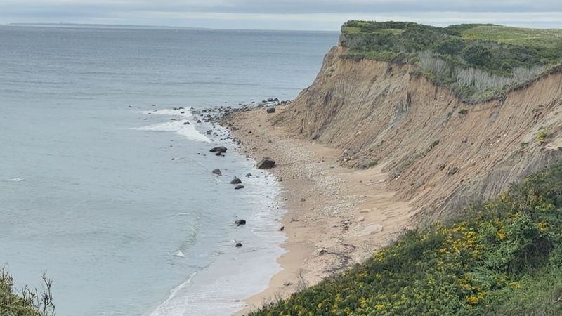 The local deer population has been climbing steadily for several decades, and researchers believe their growing presence could be playing a small role in accelerating coastal erosion. (WJAR)