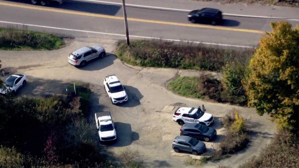 Large police presence in Churchill area of Allegheny County