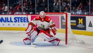Red Wings Calling Up Griffins Goalie Michal Postava