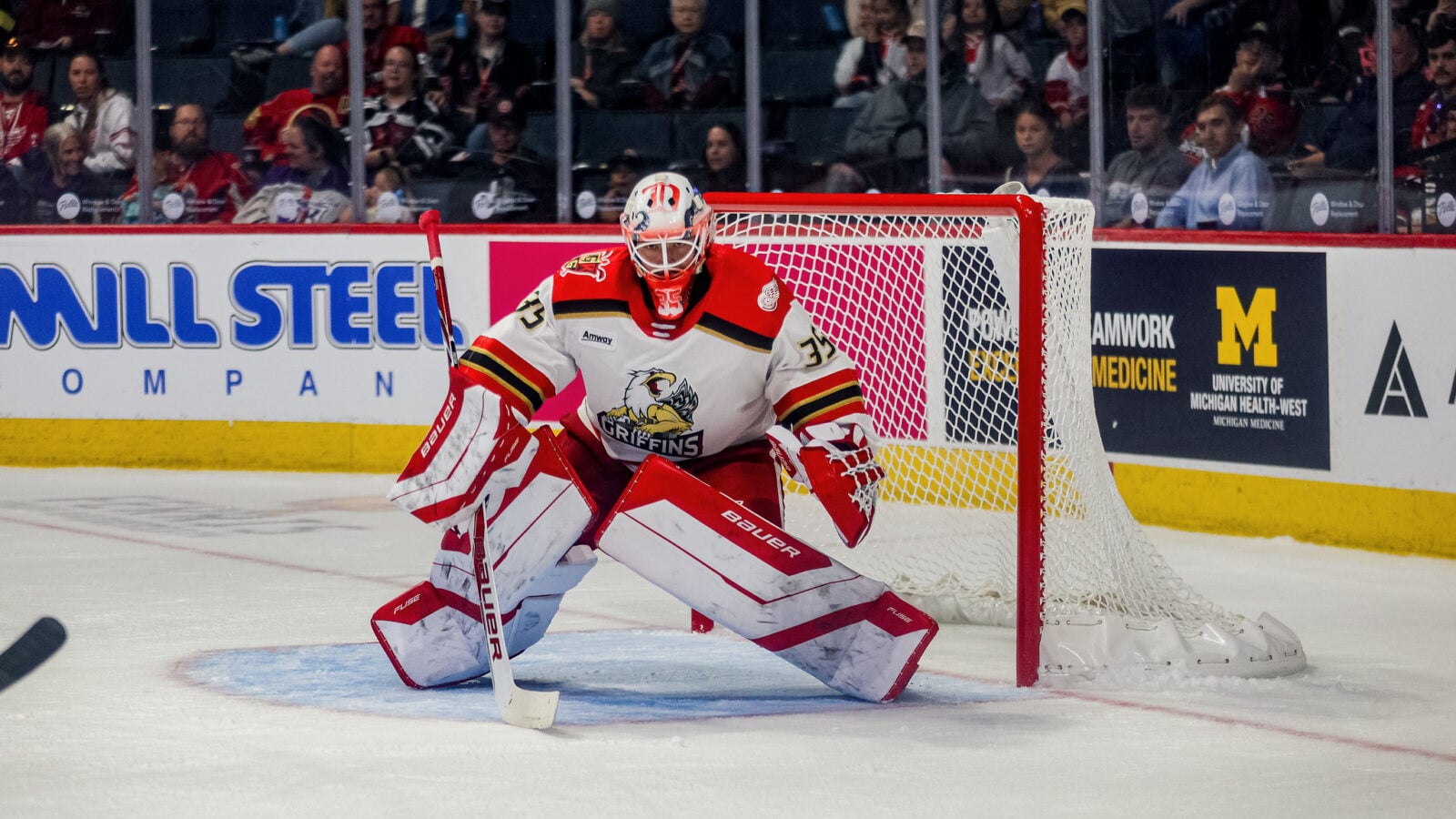 Red Wings Calling Up Griffins Goalie Michal Postava