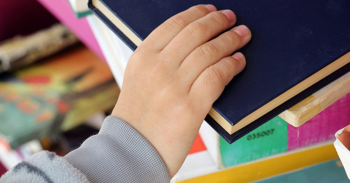 Battle of the Books: Some Texas Senators Push Back on ‘Harmful Materials’ in School Libraries | Education
