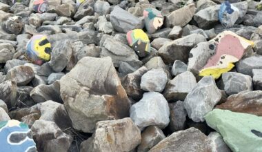 Who’s been painting faces on rocks down by French Quarter? | Arts