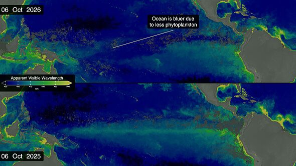 Super El Nino is changing the colour of the OCEAN