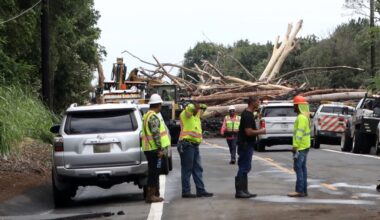 Hurricane Lala prompts Hawai‘i County Council to explore ways to proactively manage vegetation : Big Island Now
