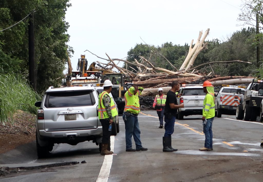 Hurricane Lala prompts Hawai‘i County Council to explore ways to proactively manage vegetation : Big Island Now