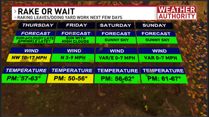 Your "Rake or Wait" forecast ahead for the next 4 days