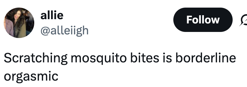 Tweet from a user named Allie: "Scratching mosquito bites is borderline orgasmic."
