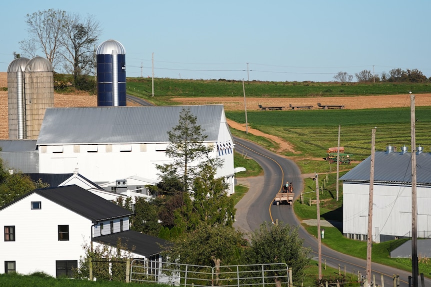 A wide shot of a horse-drawn buggy cart on a road between white barnhouses, green farmland and grain silos.