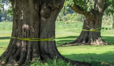 Judge hears testimony in legal fight over Trump's golf course renovation plans at East Potomac Park