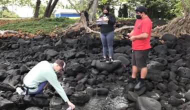 UH Hilo study finds sewage pollution along Hilo coastline