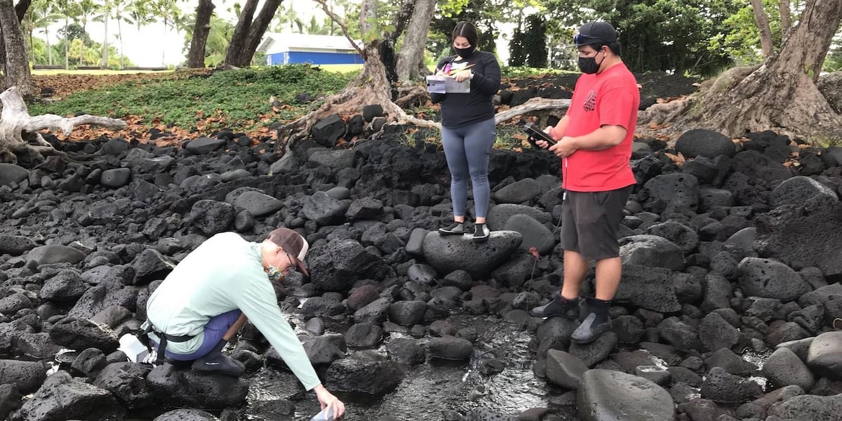 UH Hilo study finds sewage pollution along Hilo coastline