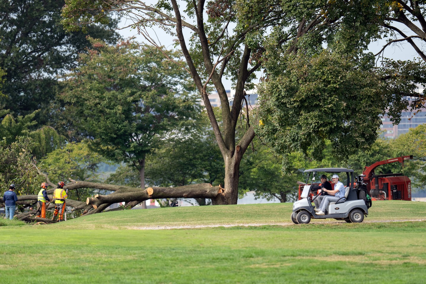 A tree is cut down at the East Potomac Golf Links in Washington, D.C., on Oct. 10. 