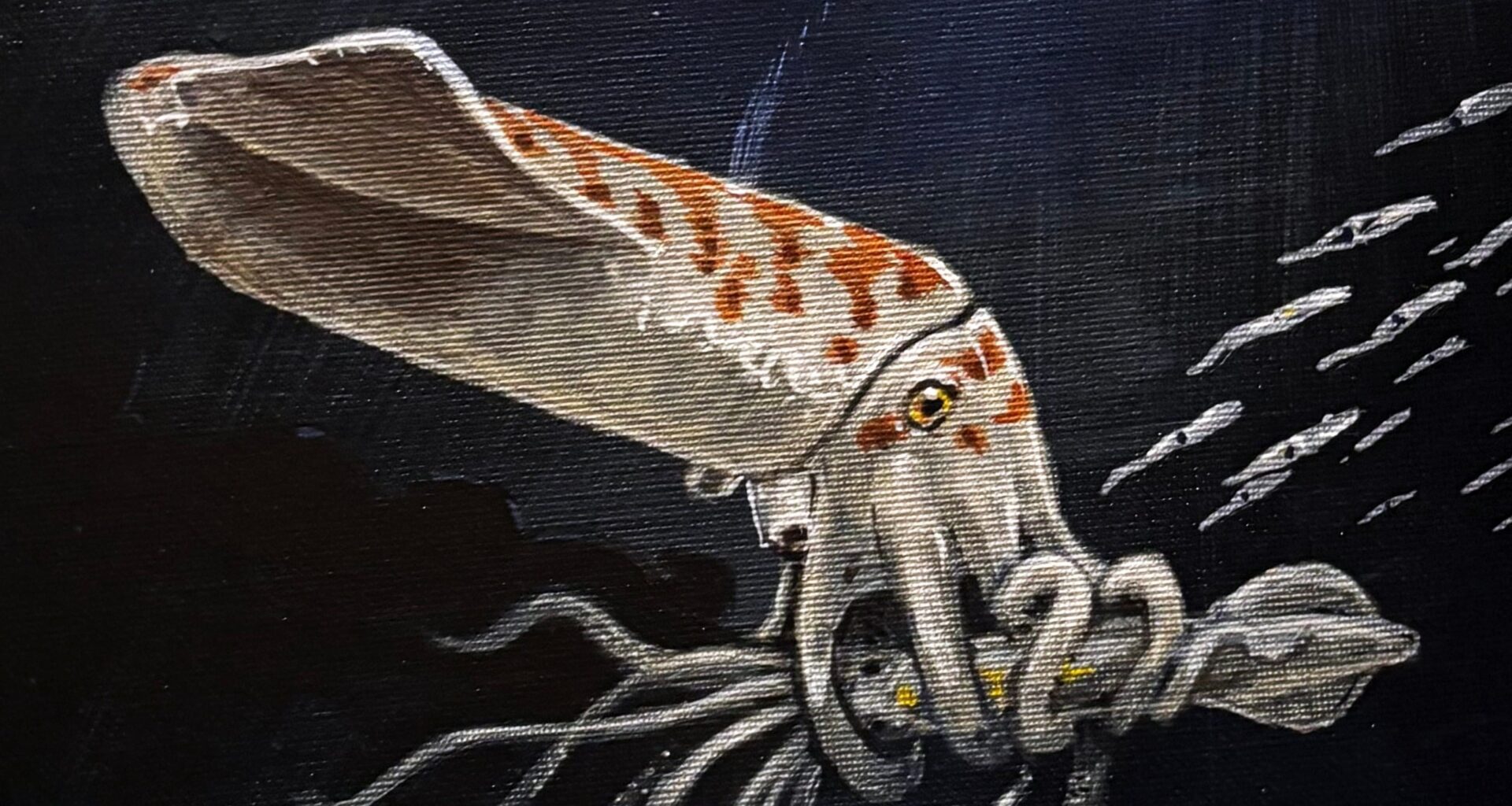 Scientists Have Found 'One of The Chunkiest' Squid-Like Creatures From The Jurassic : ScienceAlert