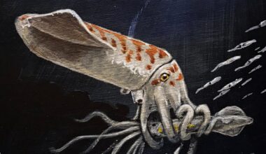 Scientists Have Found 'One of The Chunkiest' Squid-Like Creatures From The Jurassic : ScienceAlert