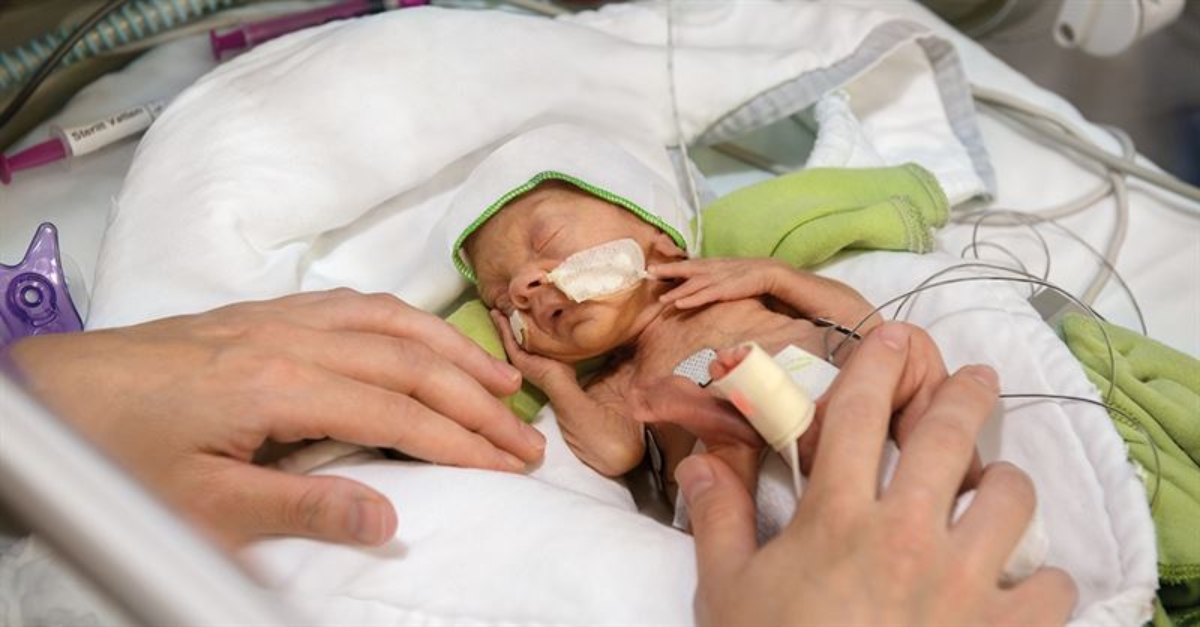 Getinge Targets Neonatal Care with Smaller Edi Catheter