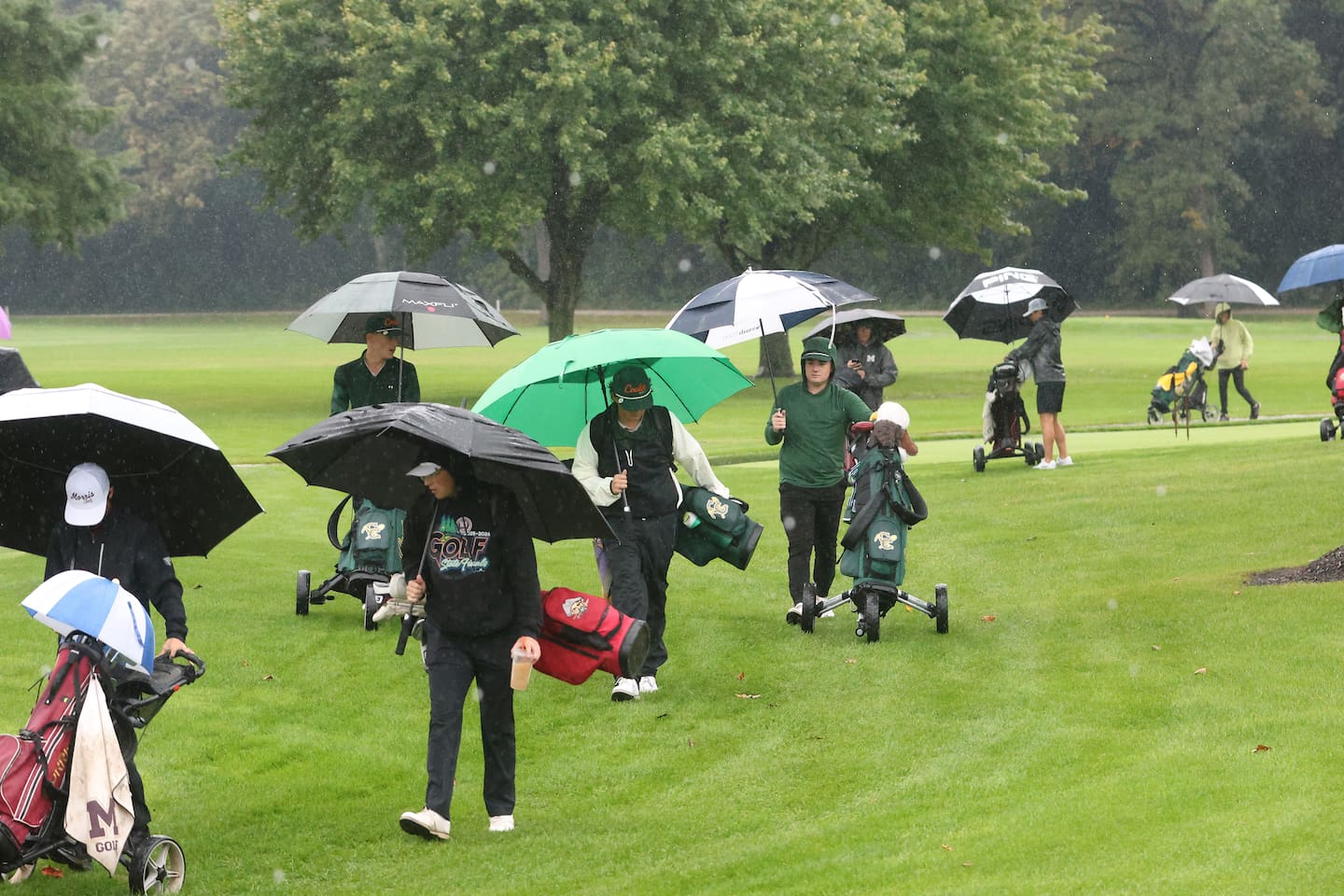 Golfers walk to their holes at the start of the Class 2A Regional golf meet on Wednesday, Sept. 30, 2026 at Deer Park Golf Club in Oglesby.