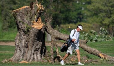 A golfer walked past the stump of a large tree at the East Potomac Golf Links, Oct. 12  in Washington, D.C.