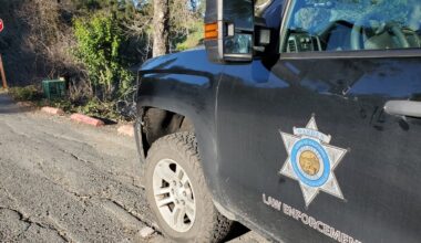 Coyote euthanized after toddler injured in Atwater Village – NBC Los Angeles