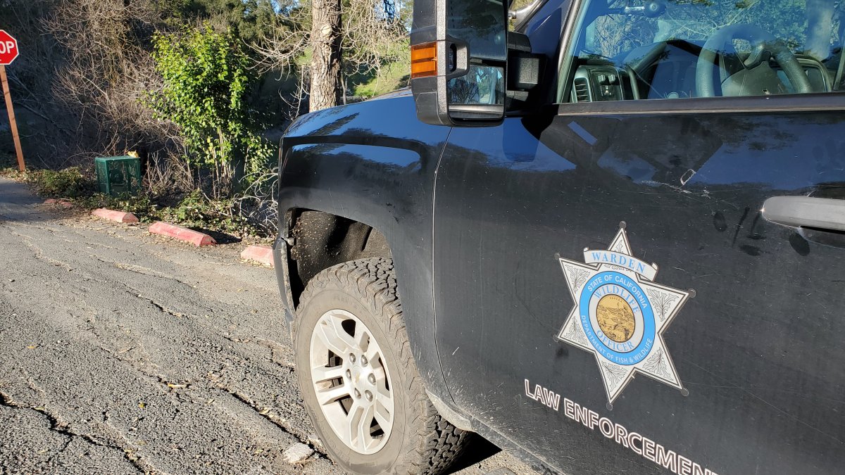 Coyote euthanized after toddler injured in Atwater Village – NBC Los Angeles
