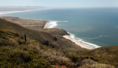 A once-in-a-generation opportunity for California’s ocean
