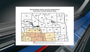 Game and Fish declares deer season changes due to EHD outbreak