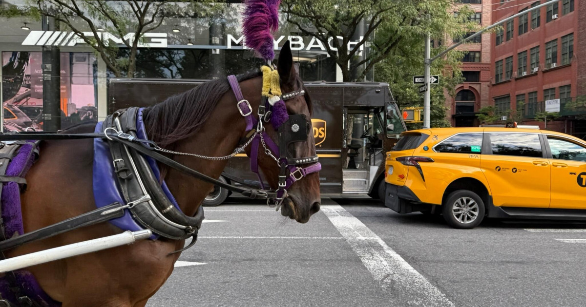 Breaking news: New York City ends the use of carriage horses