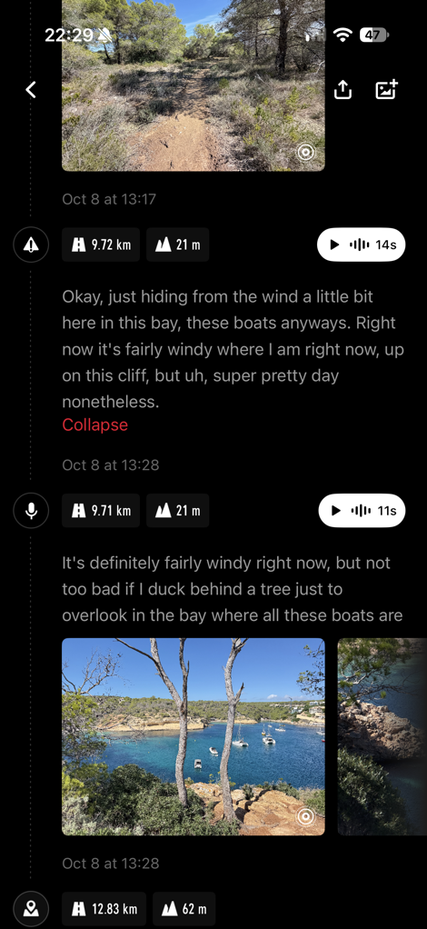 IMG_7910.PNG
