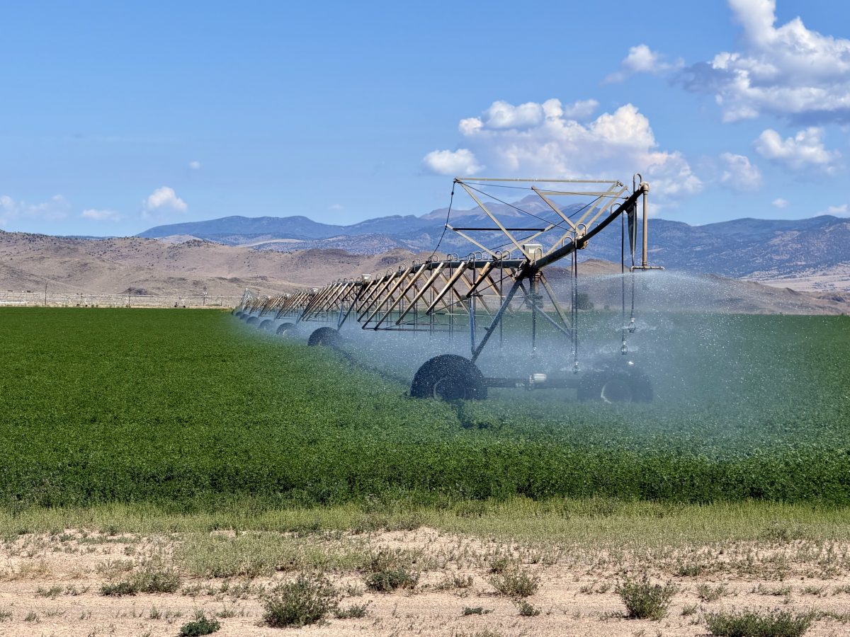 A center pivot irrigation system waters a large green field in a rural area with mountains and clouds in the background.