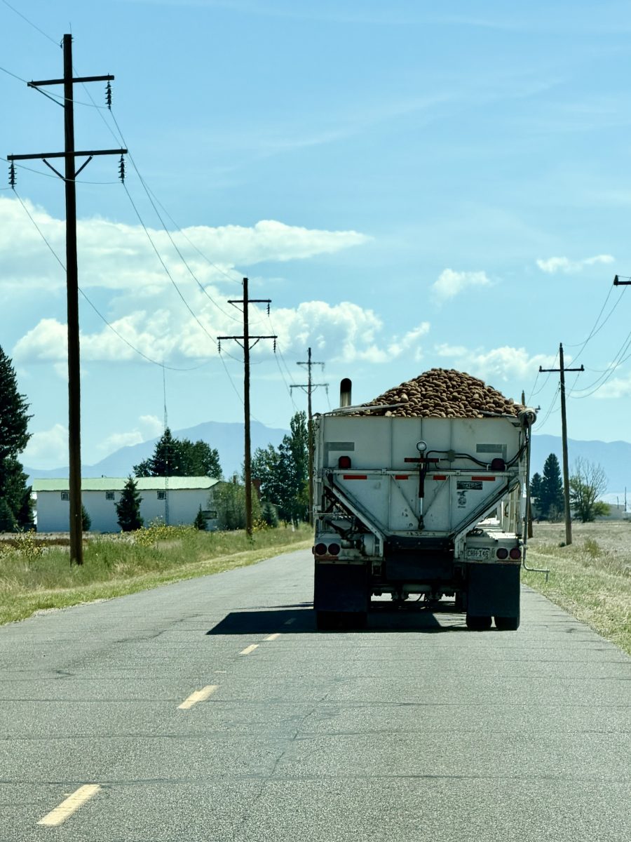 A truck loaded with potatoes drives down a rural two-lane road under a blue sky with power lines and trees along the roadside.
