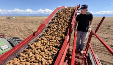 Who will stop the draining of San Luis Valley’s water lifeline?